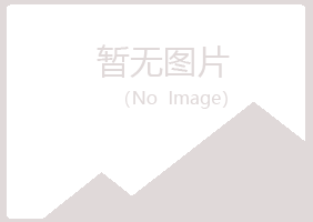 鹤岗兴山白晴咨询有限公司